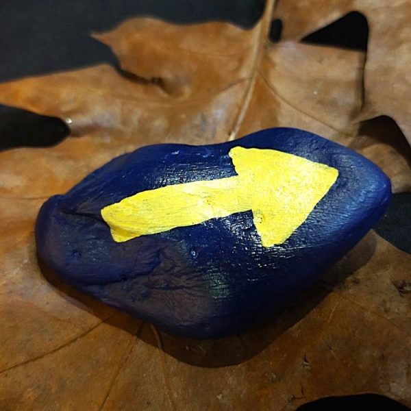 ‘Zijn dat tarotkaarten?’