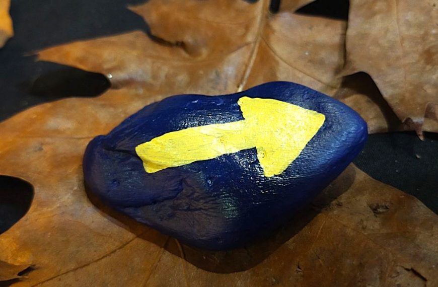 ‘Zijn dat tarotkaarten?’